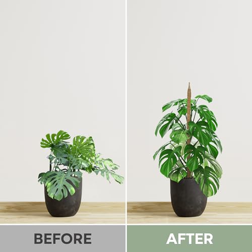 2 Pack 28'' Bendable Moss Pole Monstera Plant Support for Climbing Indoor Plants - Stakes for Potted Climbers - Tall Stick...