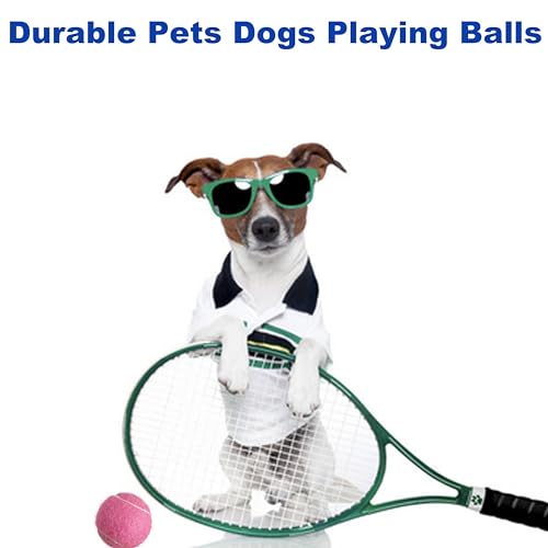HiBallBall 12-Pack Practice Tennis Balls for Beginners & Dogs - Reusable Mesh Carry Bag Included - Ideal for Tennis Traini...
