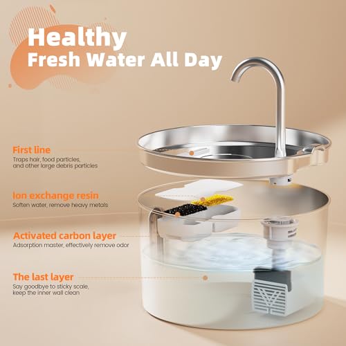 Cat Water Fountain Stainless Steel: 74oz/2.2L Cat Fountain for Drinking - Pet Water Fountain for Cats Inside - Automatic D...
