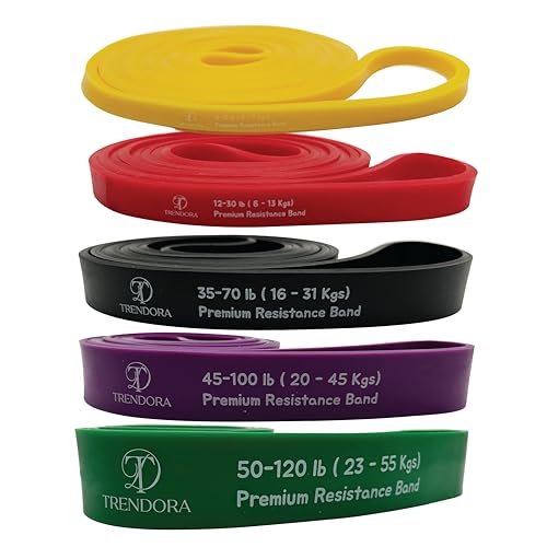 TRENDORA Premium Resistance Bands Set of 5, Exercise Bands, Workout Bands Set for Working Out with Handles for Men Women- ...