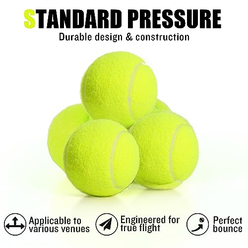 MRYCZ FYRHD 24 Pack Tennis Balls, Training Tennis Balls, Pet Dog Playing Balls, Practice Tennis Balls with Mesh Bag for Tr...