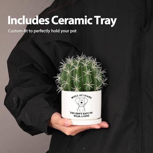 Well at Least You Don’t Have to Wear A Cone Recovery Gifts Ceramic Succulent Plant Pot with Tray Get Well Soon Gifts After...