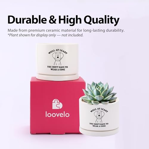 Well at Least You Don’t Have to Wear A Cone Recovery Gifts Ceramic Succulent Plant Pot with Tray Get Well Soon Gifts After...