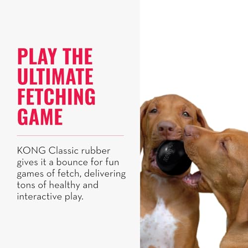 KONG Extreme Ball with Hole - Fetch Toy - Durable Dog Toy for Training, Interactive Playtime & More - Natural Extreme Rubb...