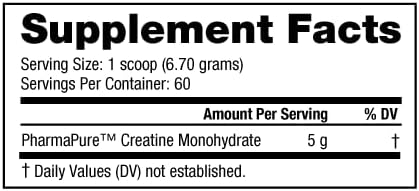 NutraBio Pure Micronized Creatine Monohydrate Powder Supplement, Arctic Blast, (300 g) - Supports Bulk Muscle Energy, Recovery, and Strength - HPLC Tested Creatine Powder Supplement for Men and Women