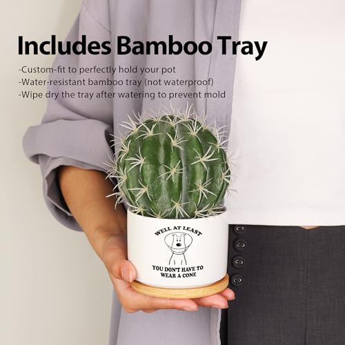 Loovelo Well at Least You Don’t Have to Wear A Cone Recovery Gifts Ceramic Succulent Plant Pot with Bamboo Tray Round Get ...