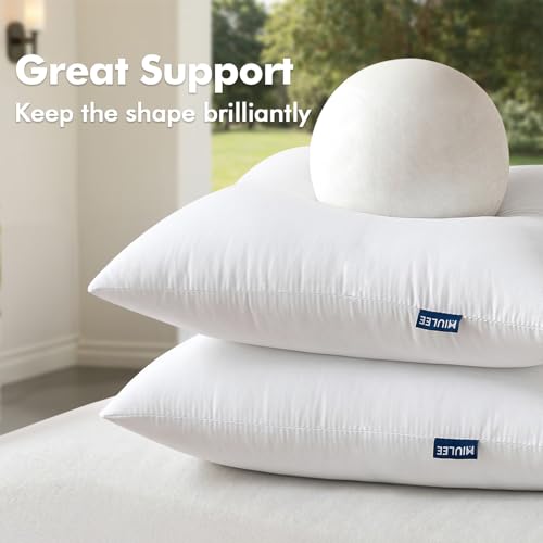 MIULEE Pack of 2 12x20 Outdoor Pillow Inserts, Outdoor Throw Pillows Water-Resistant Decorative Premium Lumbar Pillow Stuf...