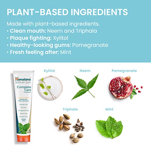 Himalaya Botanique Complete Care Toothpaste, Herbal, Mint Flavor, Fights Plaque, Freshens Breath, Fluoride Free, No Artifi...