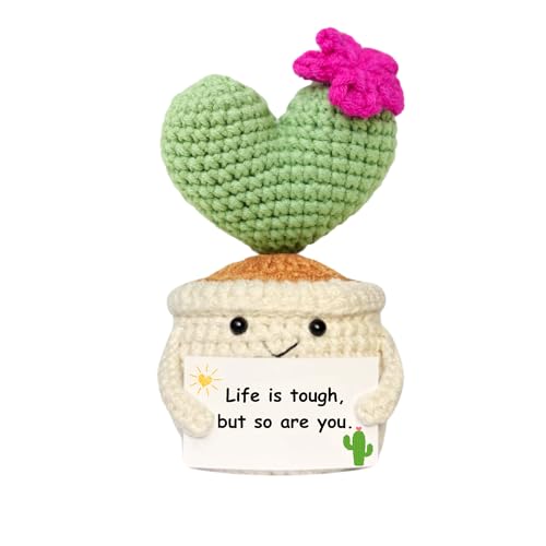 BRIFUFOUS Get Well Gifts for Women, Handmade Crochet Cactus – Plush Plant Gift with Encouragement Card for Desk Decor, Hom...