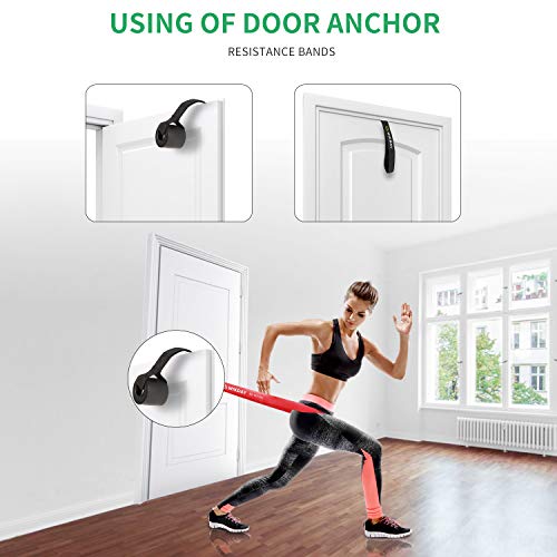 WIKDAY Resistance Bands, Pull Up Bands, Workout Bands for Exercise, Thick Heavy Resistance Band Set with Door Anchor, Elas...