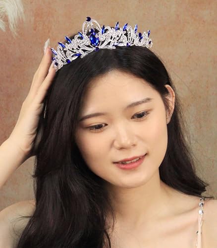 Rannyrena Silver Crystal Tiaras and Crowns for Women Sparkling Rhinestone Queen Crowns Princess Birthday Wedding Bridal Ha...