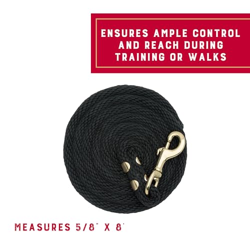 Weaver Equine Performance Lead Rope, Long Horse Lead Rope with Quick Halter Attachment, Soft Comfort Grip, Barn Horse Tack...