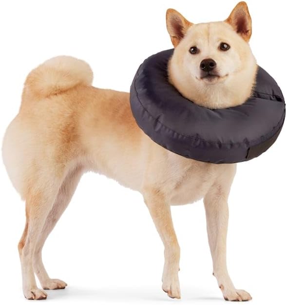 Well & Good Soft-Filled Recovery Dog Collar Medium/Large