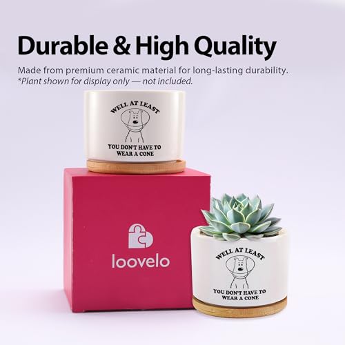 Loovelo Well at Least You Don’t Have to Wear A Cone Recovery Gifts Ceramic Succulent Plant Pot with Bamboo Tray Round Get ...