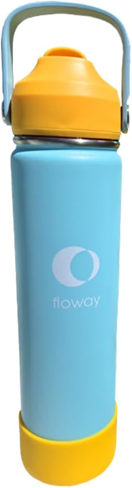 24oz Stainless Steel Vacuum Insulated Water Bottle with Straw Lid and Cleaning Brush, BPA Free, Leakproof, Temp Control, for Hot and Cold Drinks (Sunny Sky, 24oz)