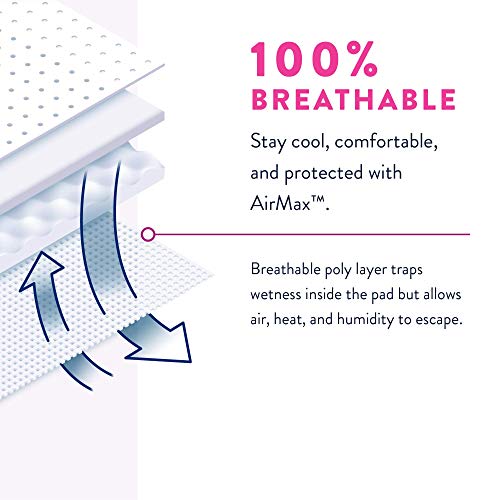 Prevail Proven | Small/Medium Pull-Up | Incontinence Protective Underwear for Women | Maximum Absorbency | 80 Count