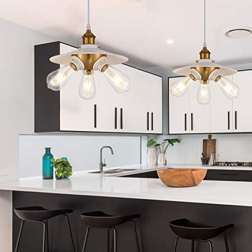 YLONG-ZS Hanging Pendant Light with 16.4 FT Cord and On/Off Switch, White, Model 791809449601