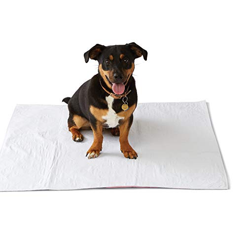 Medline Washable Bed Pads for Incontinence, Large 34 x 36 inch Reusable Underpads, 4 Pack, Pee Pads for Dogs, Adults, Kids and Baby, Pink Sofnit 300