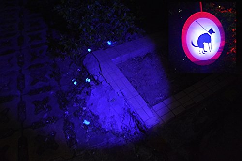 Wayllshine Uv Flashlight - 395Nm High Power Led, 3 Modes, 10 Yard Range, Aluminum, Blacklight For Pet Urine & Stain Detection