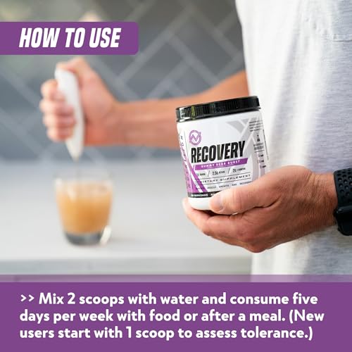 Outwork Nutrition Post Workout Recovery Powder - Creatine Monohydrate, KSM-66 Ashwagandha & Tart Cherry - Speeds Recovery,...