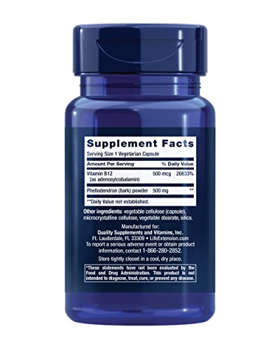 Life Extension Dopamine Advantage, Cognitive Health, Mental Sharpness, Motivation, Vitamin B12, phellodendron bark Powder,...