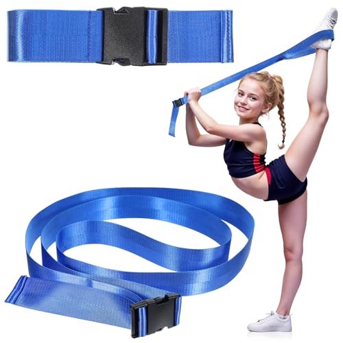 Physical Therapy Strap, Extremity Mobilization Belt, Manual Traction Strap, Adjustable Stretch Straps for Stretching Yoga ...