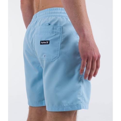Hurley Mens Icon Balboa Volley 17