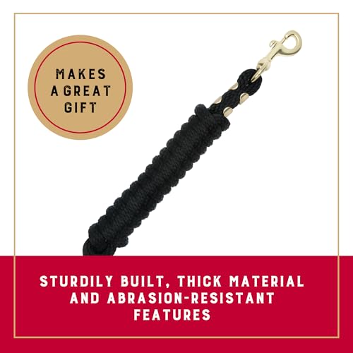 Weaver Equine Performance Lead Rope, Long Horse Lead Rope with Quick Halter Attachment, Soft Comfort Grip, Barn Horse Tack...