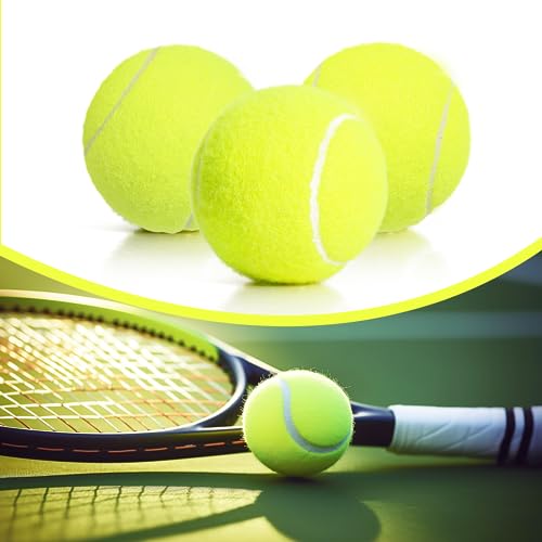 MRYCZ FYRHD 24 Pack Tennis Balls, Training Tennis Balls, Pet Dog Playing Balls, Practice Tennis Balls with Mesh Bag for Tr...