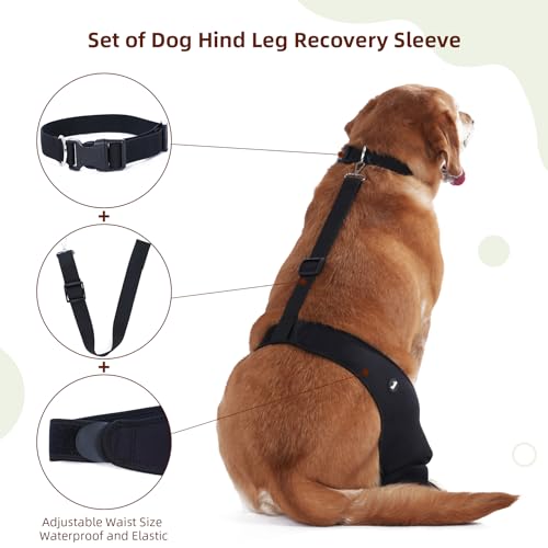 Dog Recovery Sleeve Back Leg Breathable Material,Dog Leg Sleeve to Stop Licking and Biting Firm and Secure, Adjustable Siz...