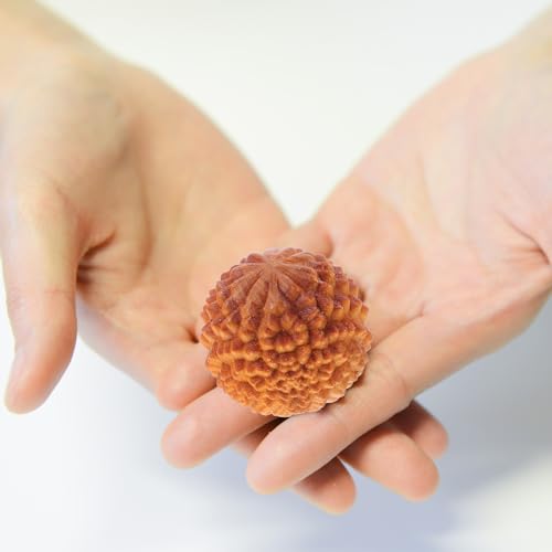 LALAFINA 2Pcs Wooden Baoding Balls Chinese Hand Exercise Massage Balls Health Cypress Meditation Tools for Hand Exercise