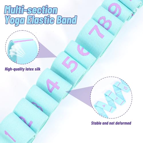 ElevateTech Yoga Straps for Stretching, 11 Loops Stretch Band for Yoga, Pilates, Ballet, Fitness and Physical Therapy Elas...