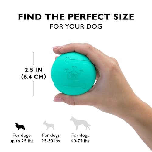 Chew King Fetch Balls Extremely Durable Natural Rubber Toy 2.5 inch, 8-pack (CM-0264-CS01)