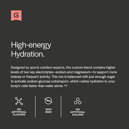 Gainful Hydration + Caffeine Powder Packets with Key Electrolytes Magnesium & Sodium + L Theanine, Low Sugar Drink Mix, St...
