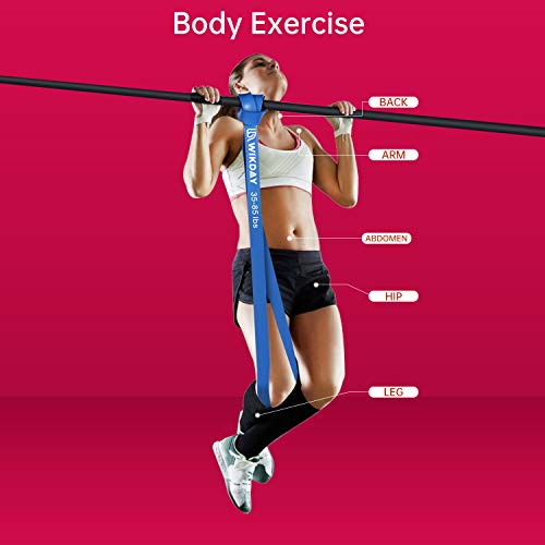 WIKDAY Resistance Bands for Working Out, Exercise Bands, Workout Bands, Pull Up Assistance Bands for Body Stretching Train...
