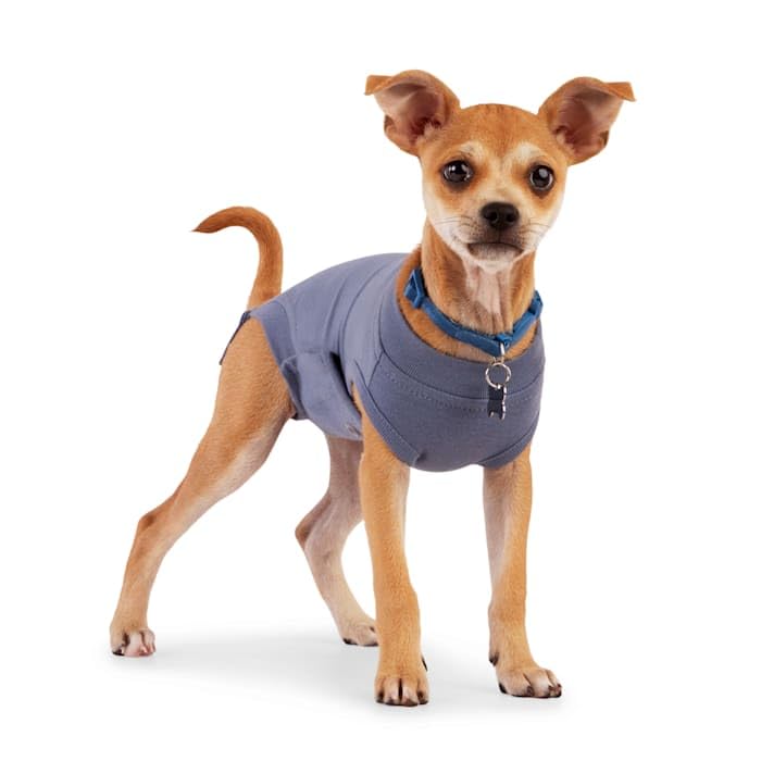 Well & Good Recovery Suit for Dogs Small/Medium