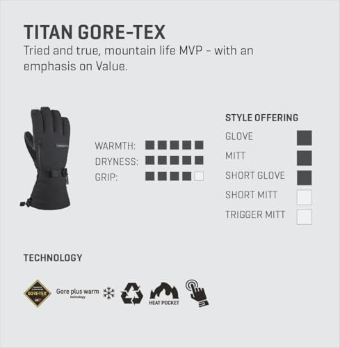 Dakine Men's Titan Gore-Tex Ski and Snowboard Gloves