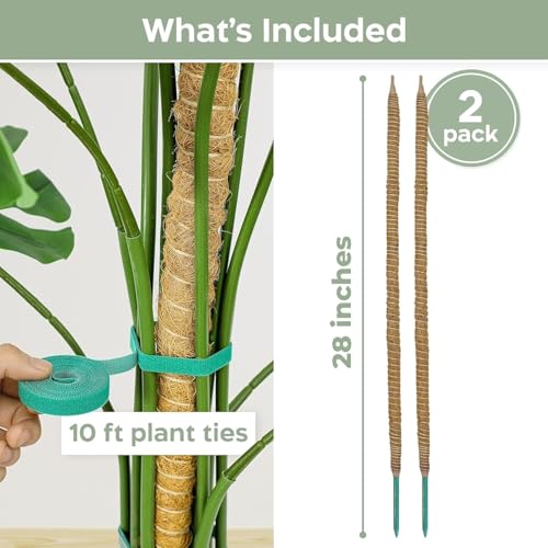 2 Pack 28'' Bendable Moss Pole Monstera Plant Support for Climbing Indoor Plants - Stakes for Potted Climbers - Tall Stick...