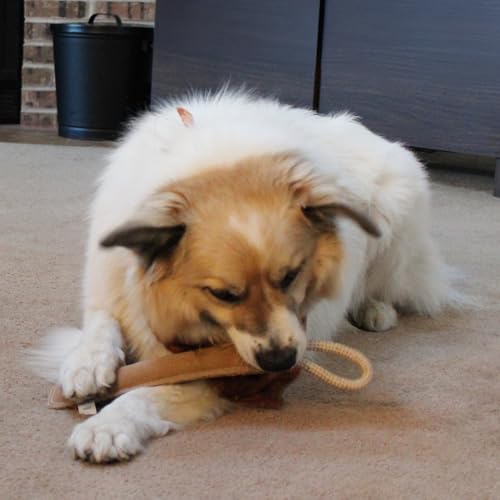 SPOT Dura-Fused Leather Retriever Dog Toy – Real Leather & Jute Fabric, Double-Stitched & Durable, Squeaky Interactive Tug...