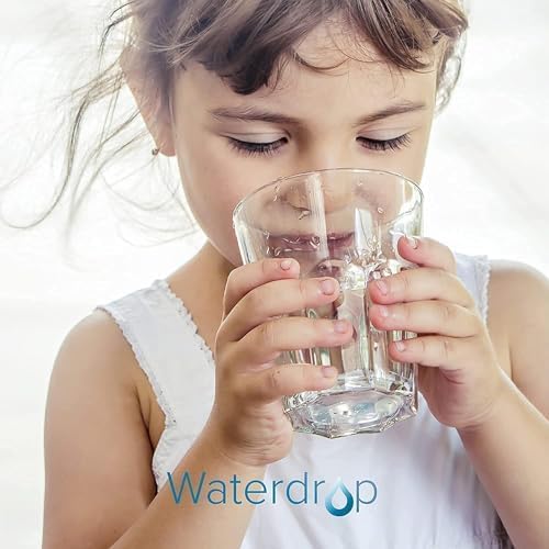 Waterdrop WD-PF-01A Plus NSF Certified Replacement Filters for All Waterdrop Pitcher Filtration System, Reduces PFAS, PFOA/PFOS, Chlorine, Last Up to 3 Months or 200 Gallons, 1 Pack