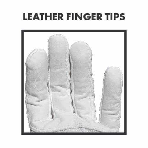 Team Golf NCAA Men's Left Hand Golf Glove, For Right Handed Players, One Size, Includes Removable Double-Sided Magnetic Ba...