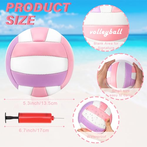 Size 2 Mini Volleyball 5.3 inch Small Beach Volleyball Soft Outdoor Indoor Volleyball Autograph Ball with Air Pump for Beg...