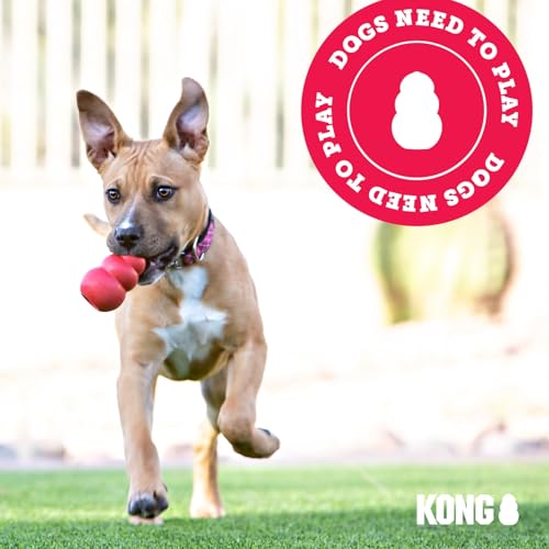 KONG Extreme Ball with Hole - Fetch Toy - Durable Dog Toy for Training, Interactive Playtime & More - Natural Extreme Rubb...