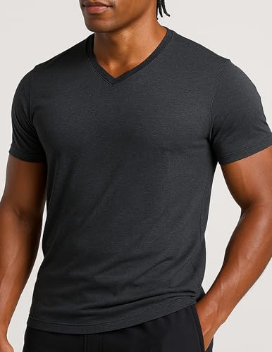 5 Pack Mens V-Neck Dry Fit T-Shirts, Active Athletic Short Sleeve Workout Tops, Performance Gym Tees (Available in Plus Size)
