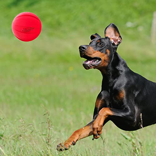 Nerf Dog Classic Squeak Ball Outdoor Dog Toy, 3.8 Inch Dog Ball Fetch Toy, Squeaking Toy for Medium and Large Breeds, Gree...