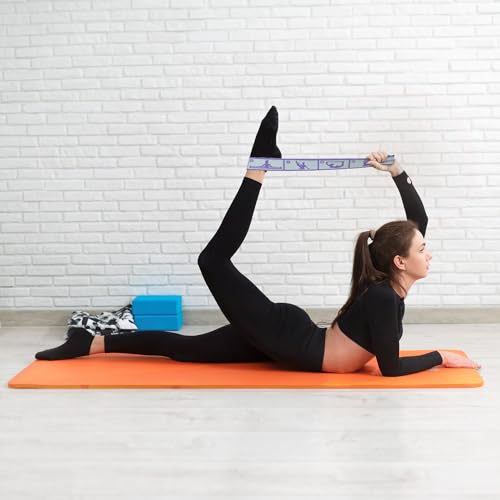 Aozora Stretch Bands for Exercise, Elastic Yoga Stretching Strap, Flex Strap 10 Loops for Physical Therapy, Pilates, Yoga,...