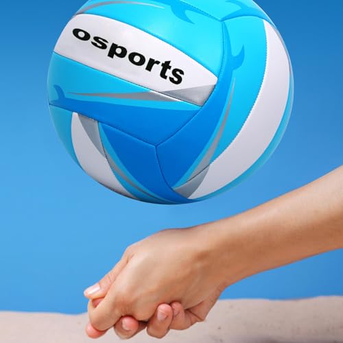 Todosports Volleyball Training Practice Official Size Indoor Outdoor Playground Sand Beach Come with Pump and Needle