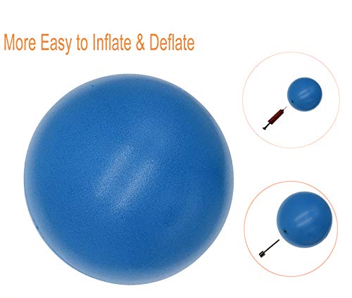 CIZEBO Pilates Ball 8 inch, Small Exercise Ball for Between Knees with Needle Pump for Core Workout & Physical Therapy Yog...
