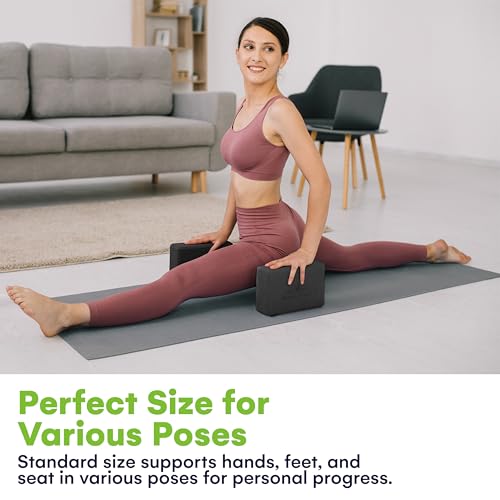 Steady Doggie Premium Yoga Blocks - Made from High-Density Foam - Non-Slip, Lightweight - Suitable For Yoga, Pilates, Medi...