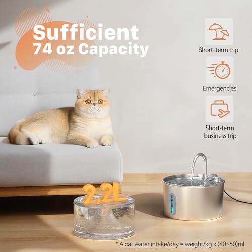Cat Water Fountain Stainless Steel: 74oz/2.2L Cat Fountain for Drinking - Pet Water Fountain for Cats Inside - Automatic D...